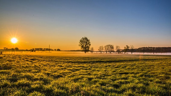 Sonnenaufgang mit Bodennebel © NDR Foto: Detlef Meier aus Ducherow