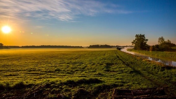 Sonnenaufgang auf einer Wiese © NDR Foto: Detlef Meier aus Ducherow