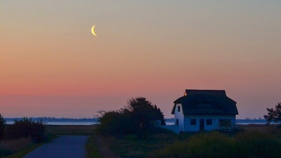 Der Mond in der Morgendämmerung. © NDR Foto: Dagmar Jaschen aus Bestensee