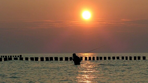 Silhouette eines Anglers bei Sonnenuntergang im Meer © NDR Foto: Den Lisa Pegel aus Erkner