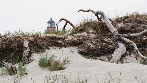 Die Spitze eines Leuchtturms ragt hinter den Dünen hervor. © NDR Foto: Mathias Perlet aus Rostock