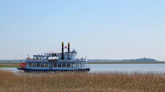 Ein alter Schaufelraddampfer © NDR Foto:  Marian Rose aus Zingst