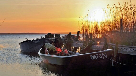 Boote an einem Steg vor einem Sonnenuntergang. © NDR Foto: Günter Kamp aus Greifswald