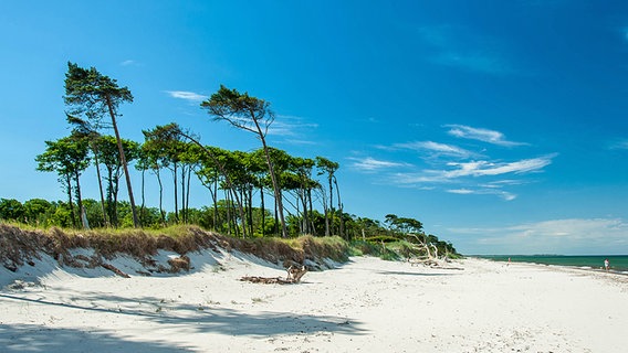 Darßer Weststrand © NDR Foto: Norbert Brandt aus Neubrandenburg