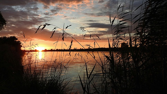 Sonnenuntergang © NDR Foto: Michael Wagner aus Greifwald
