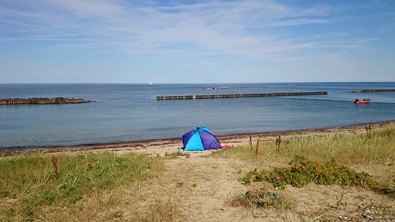 Eine Strandmuschel am Strand mit Blick auf das weite Meer. © NDR Foto: Corinna Schaak aus Altenkirchen