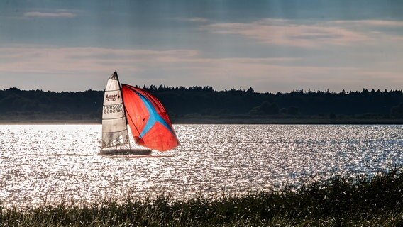 Ein Segelboot in einer Bucht © NDR Foto: Uwe Kantz aus Hinrichshagen bei Greifswald