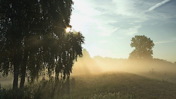 Eine Landschaft mit Morgennebel © NDR Foto: Günter Kamp aus Greifswald
