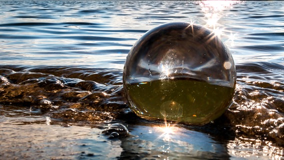 Eine Glaskugel im seichten Wasser © NDR Foto: Uwe Kantz aus Hinrichshagen bei Greifswald