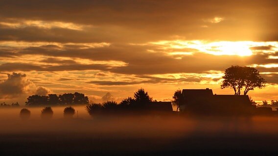 Sonnenaufgang im Frühnebel © NDR Foto: Hartmut Heidrich aus Stralsund