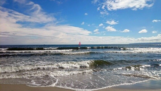 Blick vom Strand aus auf einen Surfer im Meer. © NDR Foto: Corinna Schaak aus Altenkirchen