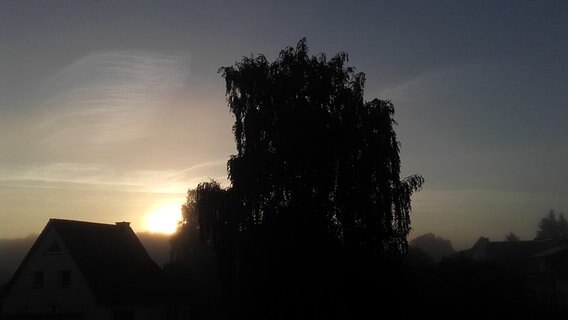 Die Sonne geht hinter einer Baumsilhouette auf. © NDR Foto: Evelyn Landt aus Samtens