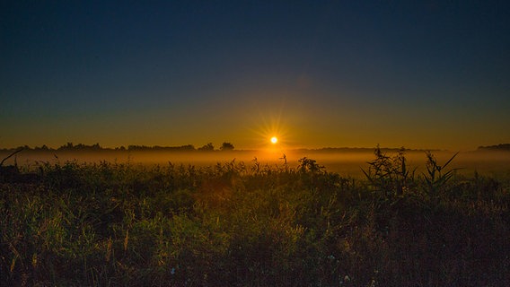 Sonnenaufgang über einer Wiese © NDR Foto: Detlef Meier aus Ducherow