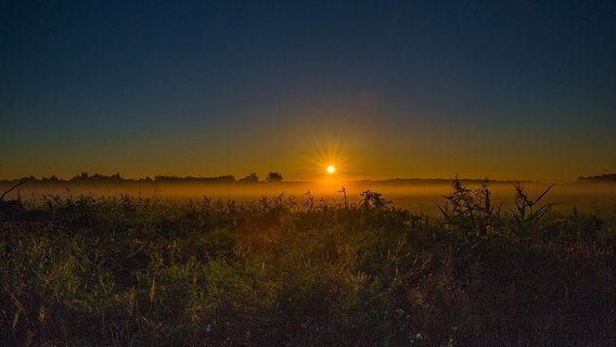 Sonnenaufgang über einer Wiese © NDR Foto: Detlef Meier aus Ducherow
