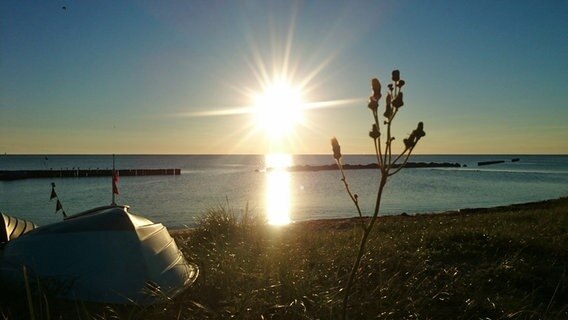 Sonnenuntergang über der Ostsee © NDR Foto: Corinna Schaak aus Altenkirchen