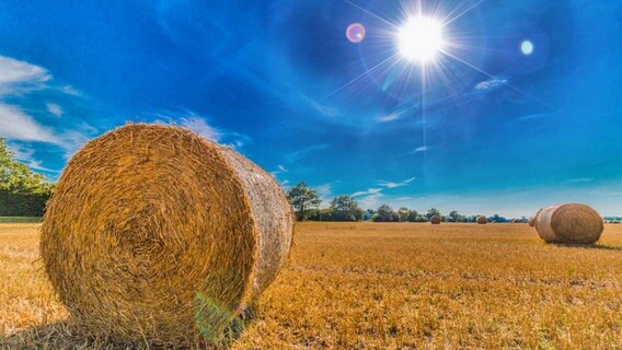 Strohballen auf einem abgeernteten Feld © NDR Foto: Tino Schmidt aus Stralsund