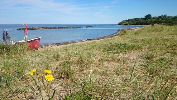 Fischerboot am Strand © NDR Foto: Corinna Schaak aus Altenkirchen