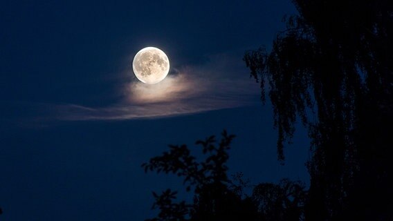 Großaufnahme des silberweißen Mondes am dunkelblauen Himmel © NDR Foto: Uwe Kantz aus Hinrichshagen