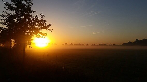 Sonnenaufgang mit Frühnebel und Kranichen © NDR Foto: Frank Ochel aus Anklam