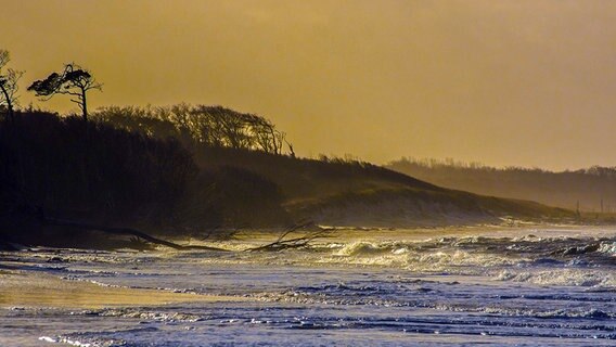 Blick über einen Strand auf eine Düne. © NDR Foto: Werner Bayer aus Neubrandenburg