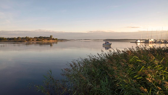 Der Strelasund am Morgen © NDR Foto: Peter Schuhmacher aus neuhof am Strelasund