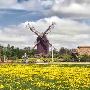 Bockwindmühle in Greifswald-Eldena © NDR Foto: Dieter Schmidtke aus Greifswald
