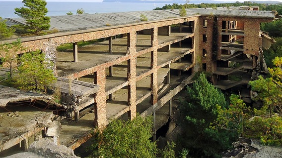 Ruine vor Prora © NDR Foto:  Peter Heydemann aus Sassnitz