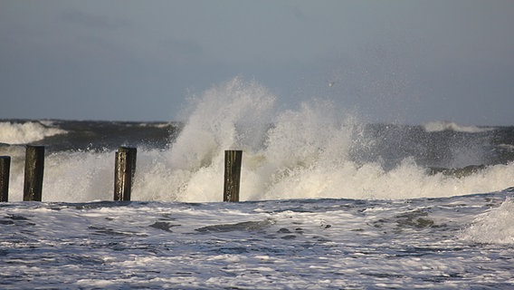 stürmische See am Strand von Zingst © NDR Foto: Roswitha Börstinghaus aus Zingst