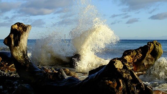 Eine Welle bricht an der Küste vor Sassnitz © NDR Foto:  Antje Wendel aus Sassnitz