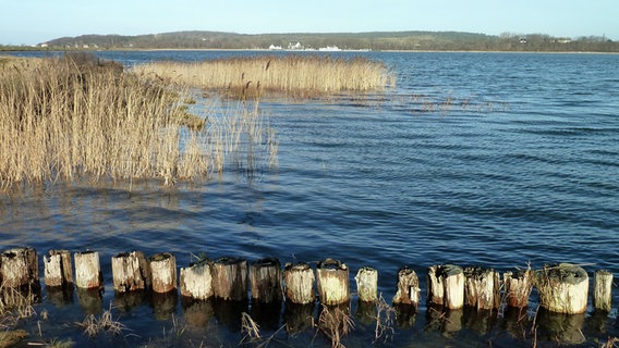 Blick über den Bodben auf Kloster am Hiddensee vom mit Holzpfählen bestückten Ufer aus © NDR Foto: Gerald Schneider aus Kloster/Hiddensee