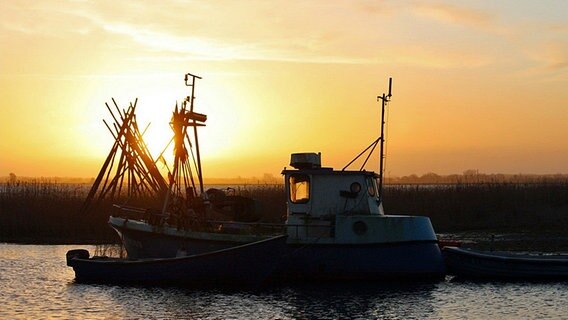 Boot mit Beibooten im Sonnenaufgang © NDR Foto: Vera Simons-Schuchardt