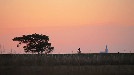 Radfahrer und Hund in der Ferne unter rosa farbenem Morgenhimmel © NDR Foto: Vera Simons-Schuchardt aus Barth