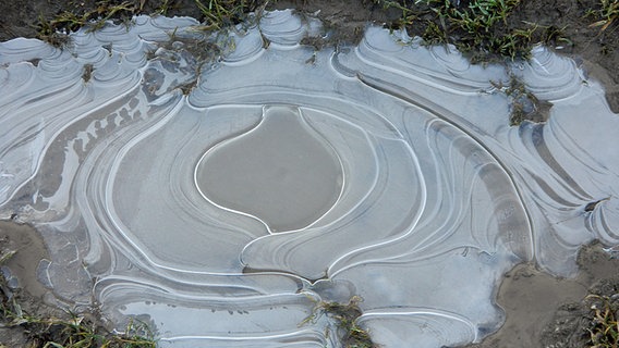 Gefrorene Pfütze © NDR Foto: Madlen Dürlich aus Warsow