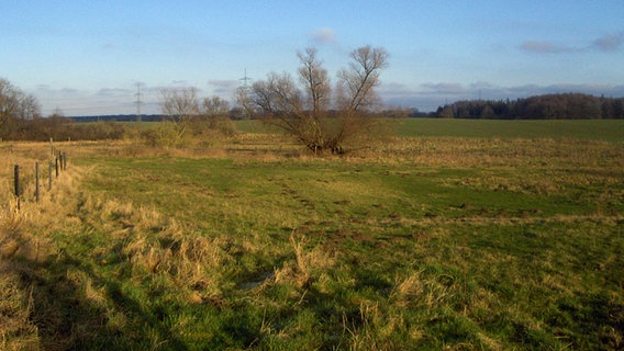 Blick auf eine Wiese. © NDR Foto: Stephan Kessler, Weitenhagen