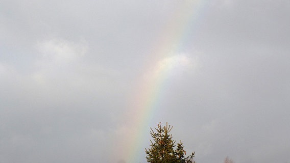 Regenbogen © NDR Foto: Elke Wiehle aus Delmenhorst