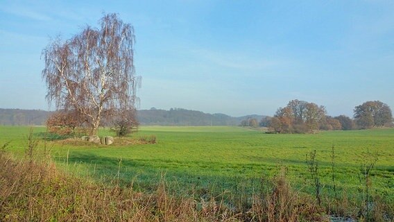 Weiter Blick auf die Wiese. © NDR Foto: Elke Wiehle aus Delmenhorst