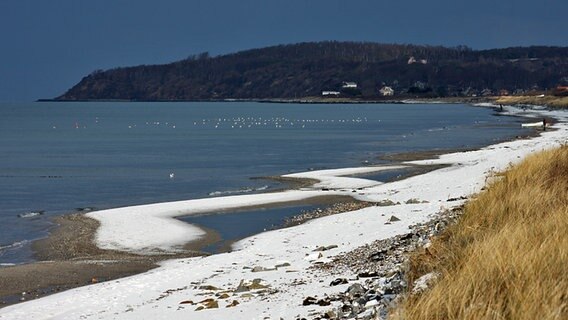 Der Strand von Kloster ist mit Schnee bedeckt. © NDR Foto: Gerald Schneider aus Kloster/Hiddensee