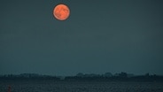 Der Vollmond leuchtet rot über dem Wasser. © NDR Foto: Robert Ott von der Insel Hiddensee