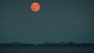 Der Vollmond leuchtet rot über dem Wasser. © NDR Foto: Robert Ott von der Insel Hiddensee