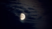 Halbmond am Nachthimmel © NDR Foto: Uwe Kantz aus Hinrichshagen
