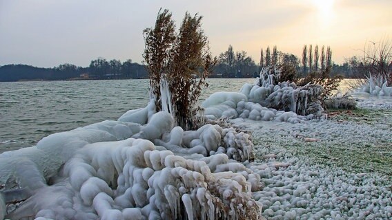 Eine Seenlandschaft ist mit Eis überzogen. © NDR Foto:  Jürgen Schwinkendorf aus Schwerin