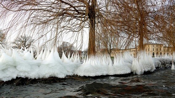 Eingefrorene Äste einer Weide © NDR Foto: Maik Zilz aus Banzkow