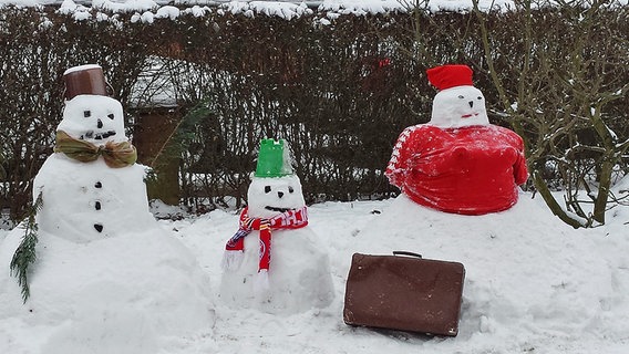 Drei Schneemänner im Garten © NDR Foto: Manja Ederdt aus Mestlin