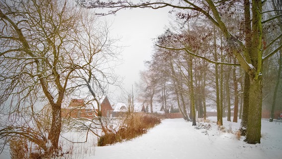 Blick auf eine verschneite Straße. © NDR Foto: Arnold Prosch aus Schwerin