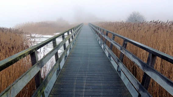 Blick auf eine in den Nebel führende Brücke © NDR Foto: Horst Laatz von der Inser Poel