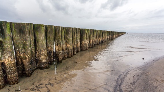Buhnenreihe im Meer © NDR Foto: Michael Weise aus Damshagen