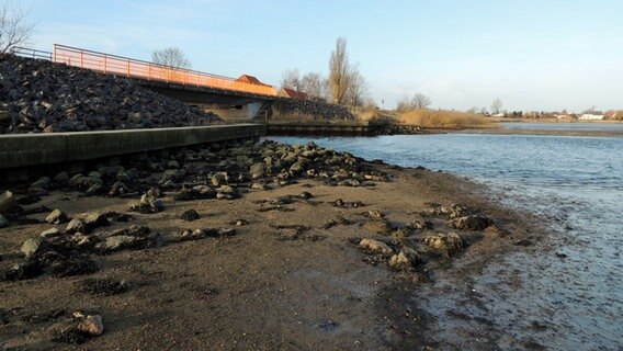 Steine und Geröll an einem Ufer bei Niedrigwasser. © NDR Foto: Horst Laatz von der Insel Poel