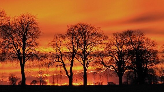 Sonnenuntergang © NDR Foto: Matthias Struck