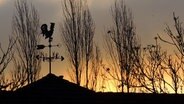 Wetterhahn bei Sonnenaufgang © NDR Foto: Horst Laatz von der Insel Poel