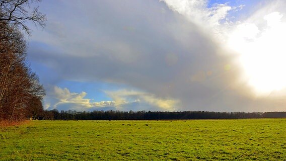 Die Sonne scheint durch die Wolken auf ein Feld. © NDR Foto: Annett Strobehn aus Redefin